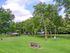 Beautifully landscaped grounds with benches and picnic areas at Park Court Apartments in Reading, PA.
