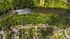 Red Oak Acres Birds Eye View