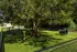 Inviting dog park oasis shaded by a grand tree, featuring playful agility equipment and a secure fenced area, perfect for pet-friendly living.
