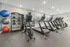 Modern fitness center with state-of-the-art treadmills, exercise bike, and vibrant workout balls for an energizing workout experience.