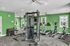 Bright, modern gym featuring state-of-the-art fitness equipment set against vibrant green walls, promoting an energetic workout experience.