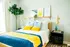 Bright and modern bedroom with elegant decor, featuring a cozy double bed with vibrant blue and yellow accents, lush green plant, and stylish art display.