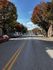 Charming tree-lined street with vibrant autumn foliage, showcasing a serene urban neighborhood under a bright blue sky.