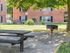 Picnic and BBQ Grilling Areas
