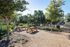 Picnic Tables and BBQ Grill