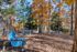Dog Park