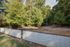 Dog Park