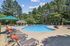Swimming pool surrounded by lush greenery and sun loungers, offering a perfect relaxing retreat.