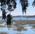Marsh