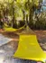 Charming outdoor area with two vibrant yellow hammocks nestled under lush trees, perfect for relaxation and leisure.