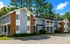 Charming apartment complex with modern design, featuring brick accents and lush greenery, nestled amidst tall trees under a clear blue sky.