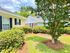 Charming suburban home exterior with manicured garden, lush shrubs, and inviting tree under a bright blue sky.