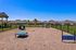 obstacles in dog park