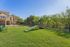 Dog Park