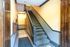 Welcoming apartment entrance featuring elegant carpeted stairs with a modern wooden banister in a well-lit hallway.