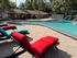 Inviting outdoor pool area with vibrant red and turquoise loungers, surrounded by lush greenery and palm trees, perfect for relaxation.
