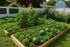 Lush garden with vibrant sunflower, thriving tomato plants, and large watermelons in raised beds, showcasing a picturesque backyard oasis.