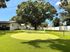 Inviting backyard golf putting green surrounded by lush trees and cozy homes under a bright blue sky.