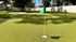 Charming backyard putting green with lush artificial grass and green flags, perfect for golf enthusiasts seeking outdoor leisure.