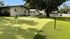 Idyllic backyard featuring a lush putting green, shaded by a grand tree, perfect for golfing enthusiasts and relaxation.