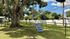 Charming backyard featuring a large tree, green lawn, and playground equipment under a sunny sky.