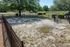 Bark Park