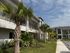 Inviting apartment complex with lush landscaping and palm trees, offering a serene and tropical ambiance.