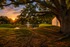 Serene park setting with a majestic oak tree, tranquil pond, and a picturesque sunset casting a golden hue over a cozy bench.