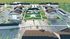 Union Park of Brandywine - Aerial View