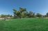 Pet Park