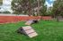 Charming outdoor area featuring a well-maintained dog agility park with lush green grass, offering a lively space for pets to play.