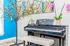 Chic interior corner featuring a sleek digital piano with a tufted bench, accentuated by vibrant houseplants and elegant decor on crisp blue and white walls.