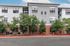 Charming apartment building with modern design, featuring a mix of brick and sleek facade surrounded by lush greenery.