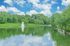 Serene landscape with a tranquil pond, vibrant greenery, and a gentle fountain under a bright blue sky.