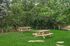 Charming green outdoor area with wooden picnic tables surrounded by lush trees, perfect for relaxing and gatherings.