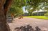 Tranquil apartment complex with lush green lawn, shaded picnic area, and multi-level buildings under bright skies.