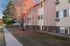 Charming apartment building with vibrant autumn trees, inviting sidewalk, and natural brick accents.