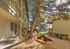 Charming apartment complex surrounded by lush greenery and inviting walkways, with sunny patios and welcoming entryways.