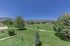 Scenic view of a vibrant green park with lush trees and a backdrop of majestic mountains under a clear blue sky.