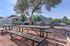 Inviting outdoor area with picnic tables and modern grills, perfect for social gatherings and relaxation under the shade of lush trees.