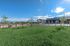 Beautiful outdoor space showcasing lush green grass, young trees, and a view of modern buildings under a vibrant blue sky.