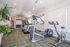 Inviting fitness center with modern cardio machines, lush plants, and vibrant lighting in a spacious setting.