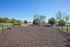 Expansive outdoor dog park with agility obstacles, surrounded by lush greenery and a serene neighborhood backdrop.