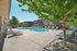 Inviting outdoor pool area with stylish sun loungers and lush greenery, perfect for relaxation and leisure at Chateau apartments.