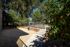 Lush outdoor garden area with vibrant greenery and shade, perfect for relaxation and tranquility.