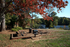 BBQ picnic area