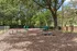 Lush fenced dog park with green benches and playful agility equipment.