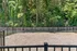 Charming fenced outdoor area surrounded by lush greenery, perfect for relaxation and recreation.