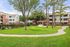 Charming apartment community with lush green lawns, mature trees, and a central pergola-covered patio area.