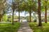 Scenic pathway leading through lush trees to a serene lake, offering a picturesque view perfect for relaxation and nature enjoyment.